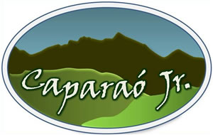Logo   Empresa Junior