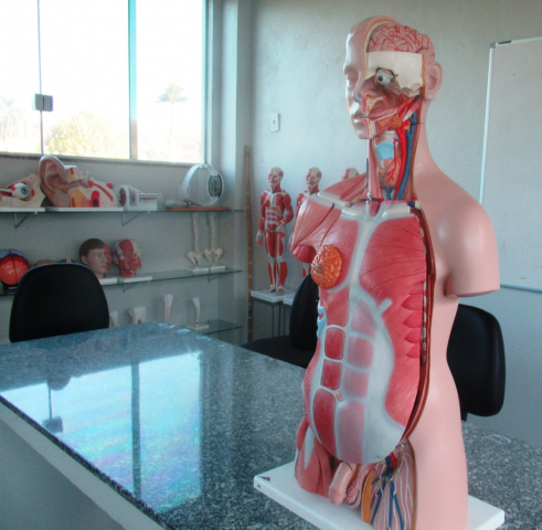 Laboratório de Anatomia e Embriologia Humana